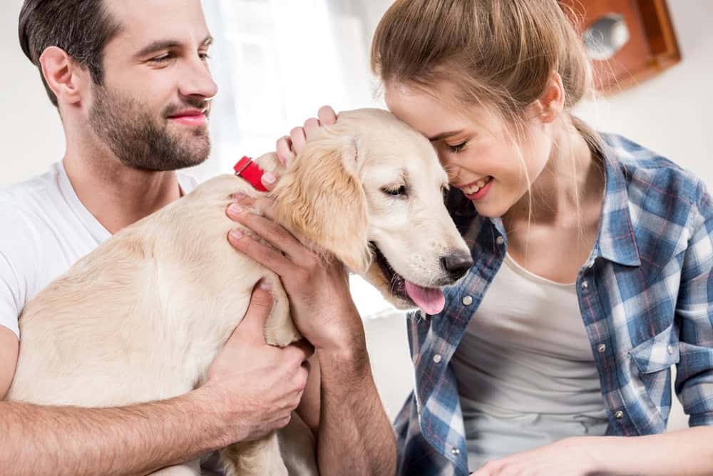 5 Marriage Tips I’ve Learned from My Favorite Dogs